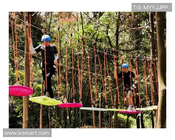 重庆飞盘队心理素质分析与提升策略研究探索